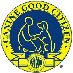 akc-canine-good-citizen-66479daa4b36f