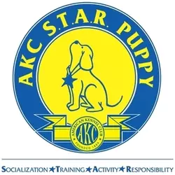 akc-star-puppy-66479dab2efd9