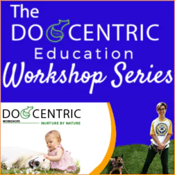dogcentric-workshops-1-66479da92f61d