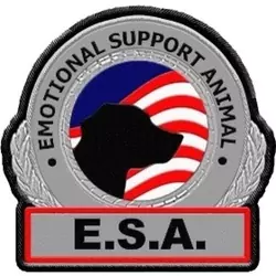 emotional-support-dog-66479daa4bc69