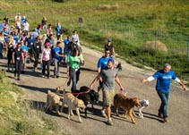 pace-walk